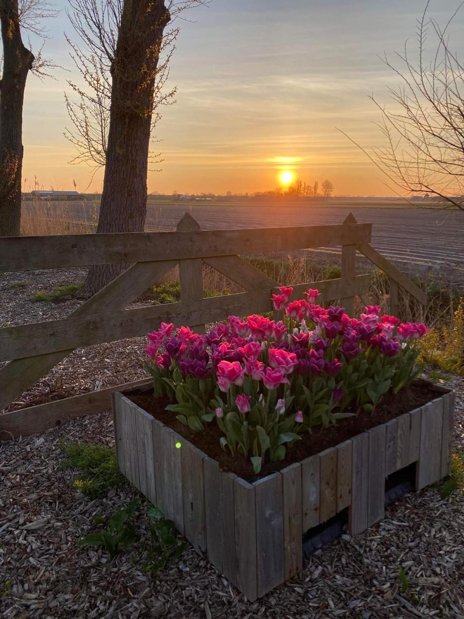 Camping De Tulpenweide Lege Kampeerplaats, Lege Plaats Op Het Gras Zonder Bed Breezand Luaran gambar