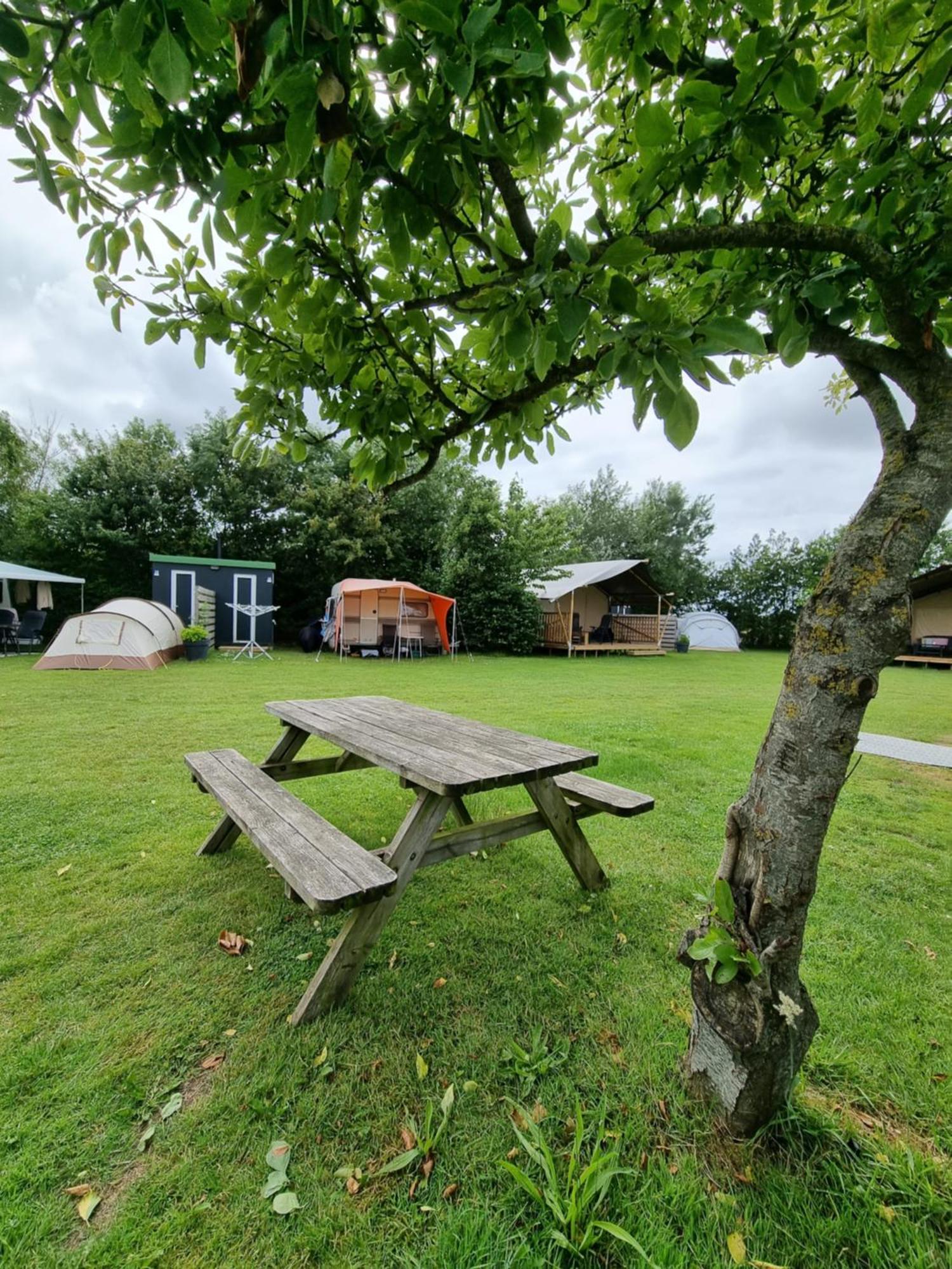 Camping De Tulpenweide Lege Kampeerplaats, Lege Plaats Op Het Gras Zonder Bed Breezand Luaran gambar