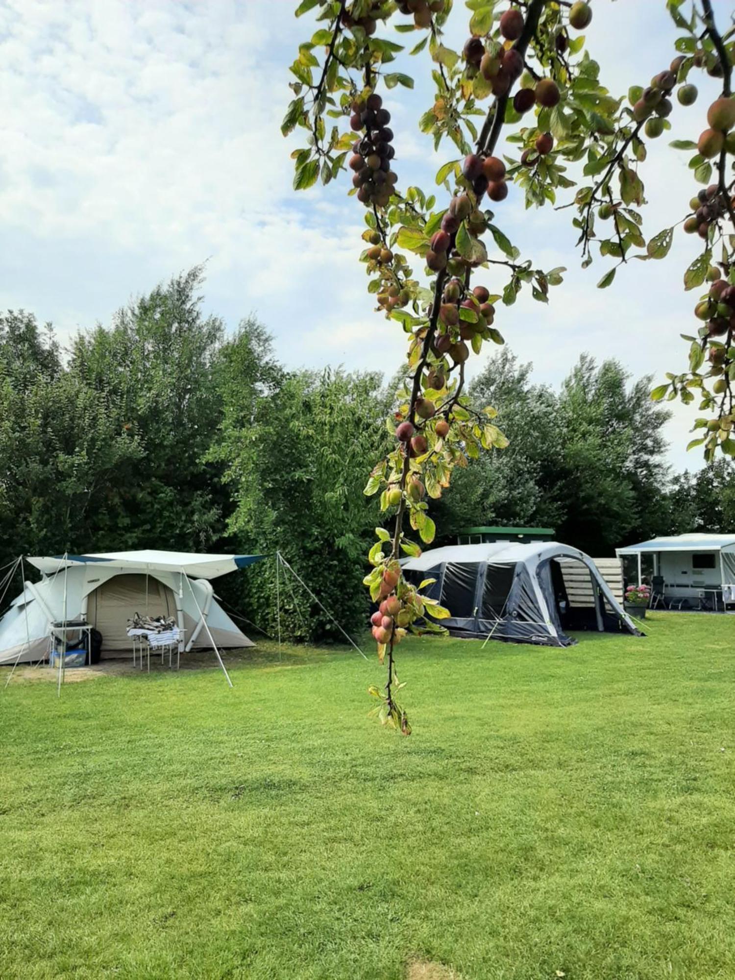 Camping De Tulpenweide Lege Kampeerplaats, Lege Plaats Op Het Gras Zonder Bed Breezand Luaran gambar