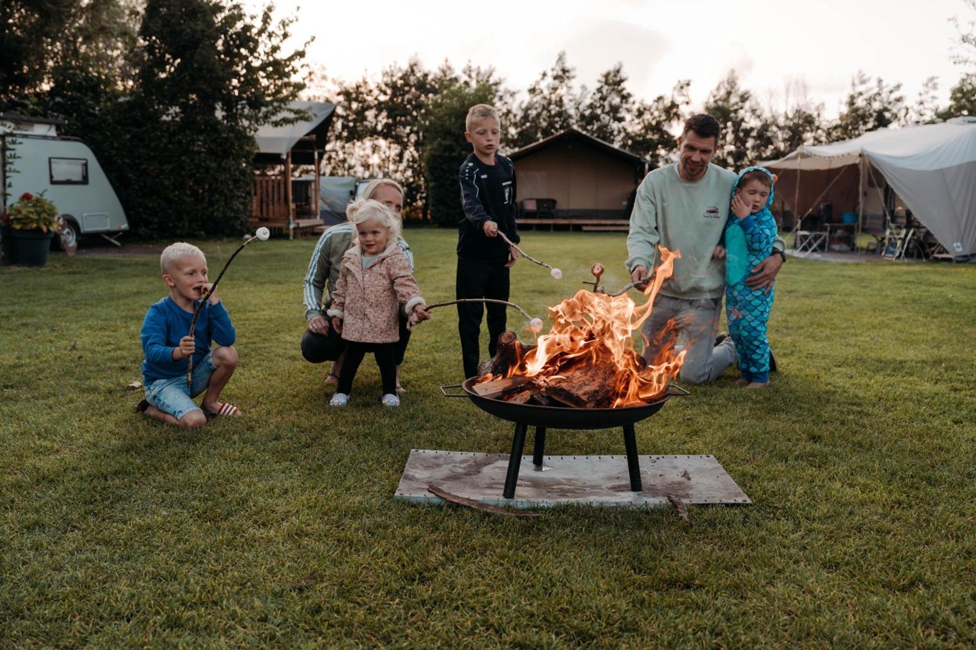 Camping De Tulpenweide Lege Kampeerplaats, Lege Plaats Op Het Gras Zonder Bed Breezand Luaran gambar