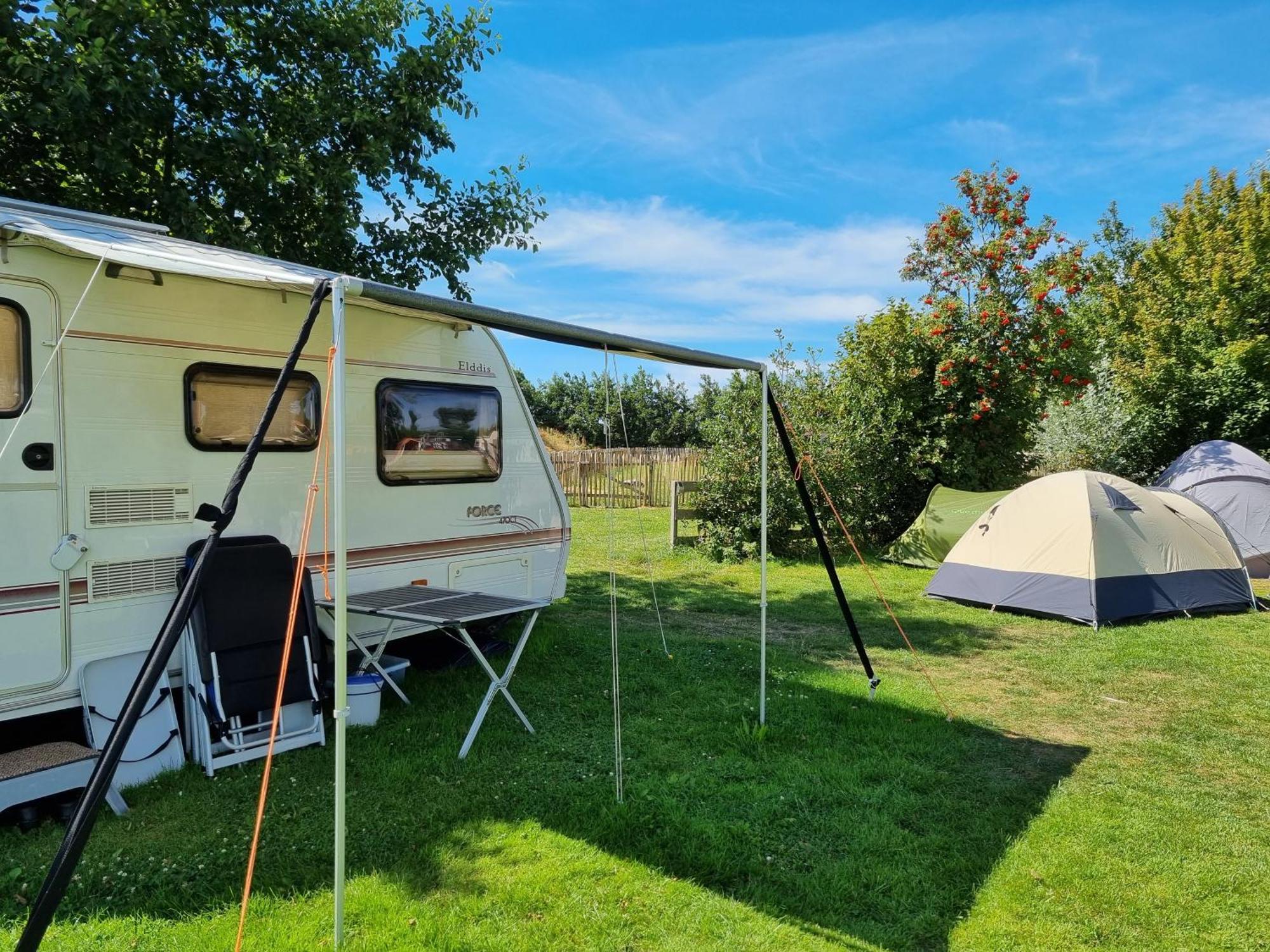 Camping De Tulpenweide Lege Kampeerplaats, Lege Plaats Op Het Gras Zonder Bed Breezand Bilik gambar