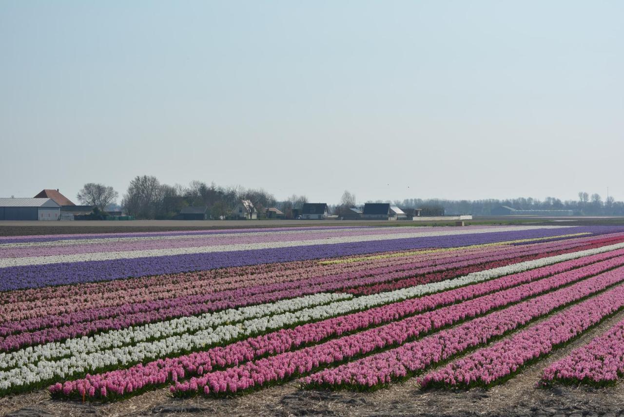 Camping De Tulpenweide Lege Kampeerplaats, Lege Plaats Op Het Gras Zonder Bed Breezand Luaran gambar