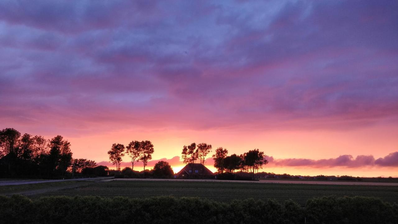 Camping De Tulpenweide Lege Kampeerplaats, Lege Plaats Op Het Gras Zonder Bed Breezand Luaran gambar